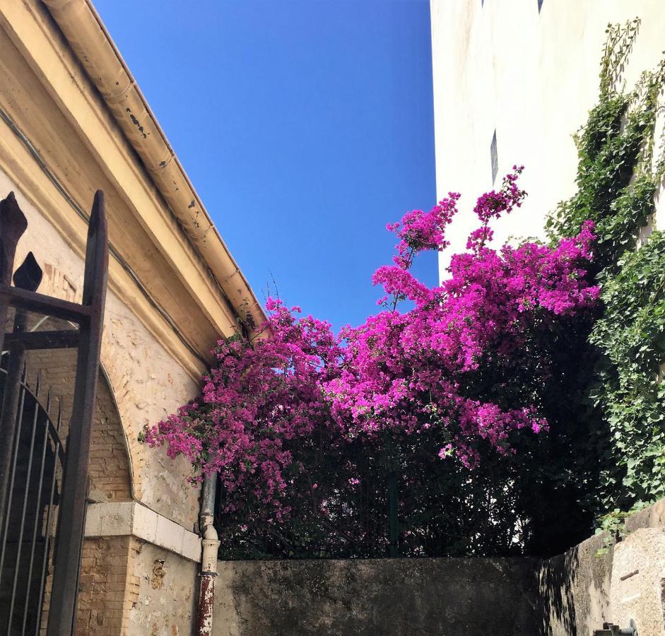 Hotel Diana Vence Εξωτερικό φωτογραφία