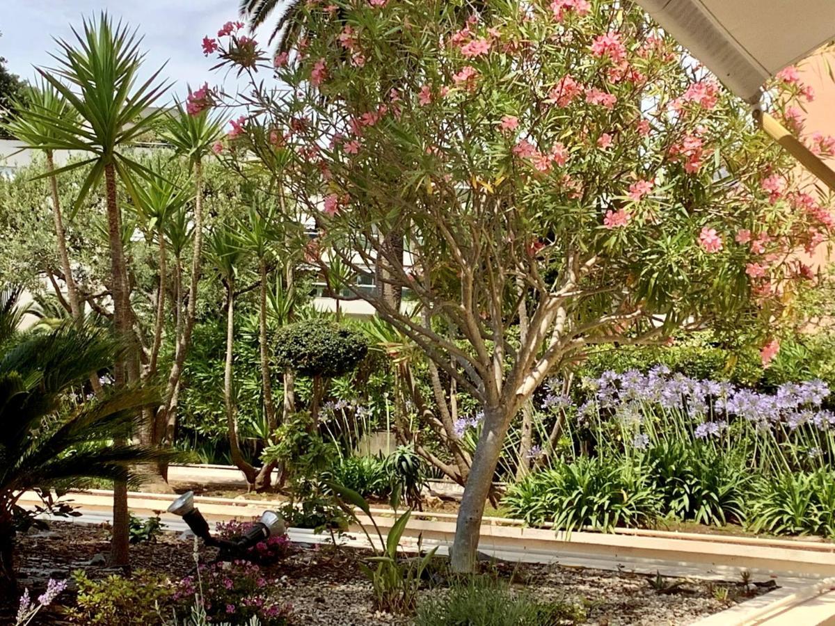 Hotel Diana Vence Εξωτερικό φωτογραφία