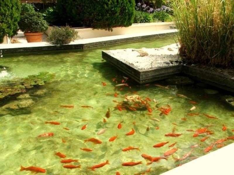 Hotel Diana Vence Εξωτερικό φωτογραφία