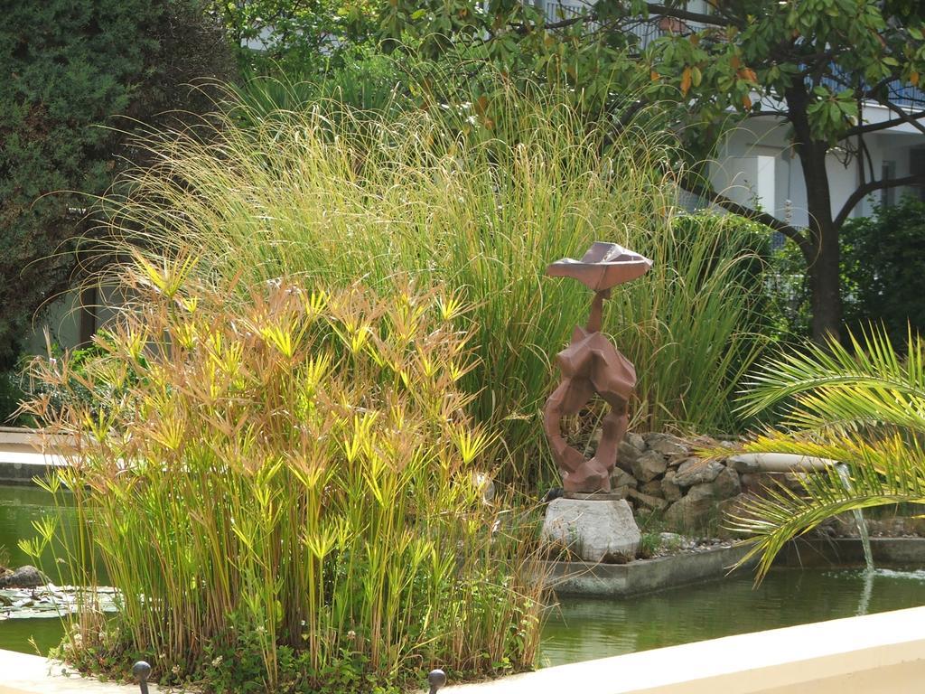 Hotel Diana Vence Εξωτερικό φωτογραφία